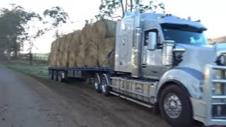 A Trip Out To A Dairy Farm