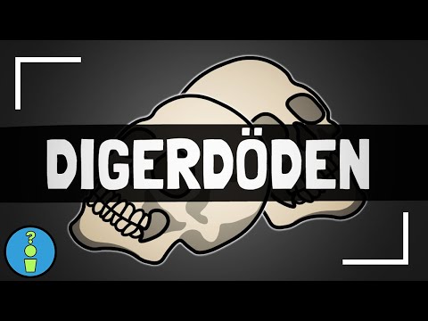 Video: Vad betyder fixerad i döden?