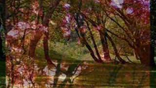 Video thumbnail of "Pachelbel - Canon in D By Flute"