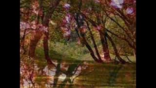 Pachelbel - Canon in D By Flute