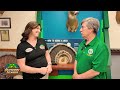 Outdoors Delmarva Full Episode - 08/08/2026