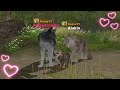 Having a baby in wolf online 2 ~ Rosse Animals