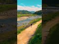 田舎の夏がエモすぎる🏞️