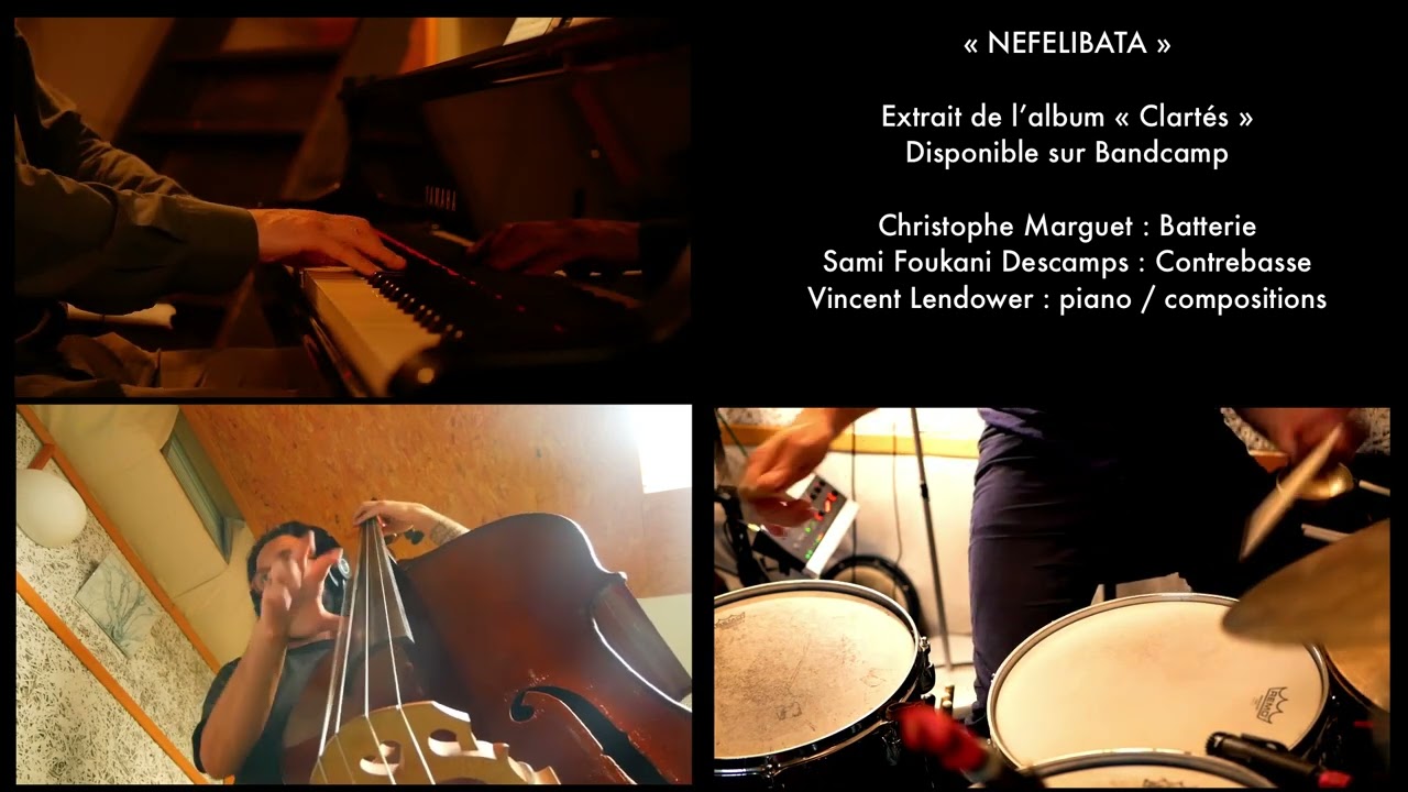 Nefelibata ( Vincent Lendower )