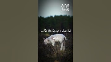 قرآن كريم🍁القارئ حسام عبدالباقي🍁(سورة الأعراف )