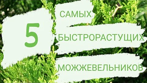 5 САМЫХ БЫСТРОРАСТУЩИХ МОЖЖЕВЕЛЬНИКОВ В МОЖЖЕВЕЛОВОМ САДУ🌲🌲