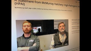 Murray McMurray Chick Order Catastrophe, Avian Bird Flu Hits Hatchery