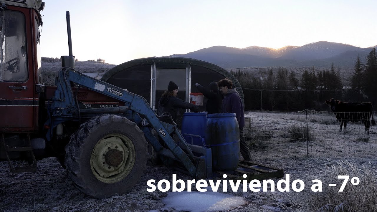 Ep.42 Vivir en el campo a -7º: cuidamos de los animales y de la huerta familiar