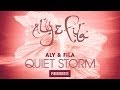 Aly  fila feat karim youssef  laily photographer remix