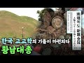 한국 고고학의 기틀이 마련되다  황남대총