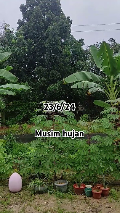 musim panas sdh berlalu,musim hujan sdh