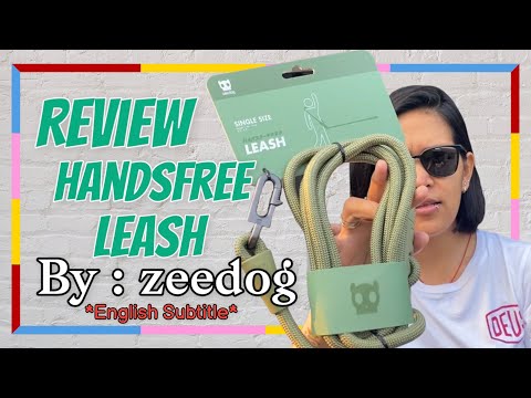 Video: Hands-Free Leashes: The Best dan Bagaimana Menggunakannya dengan selamat