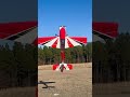Extra 300 v1 edit