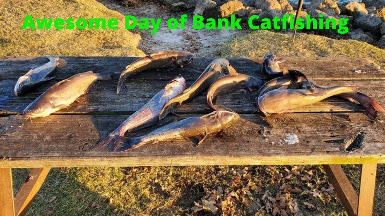 Great Day of Blue Catfishing Lake Tawakoni YouTube