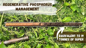 Regenerative Phosphorus Management