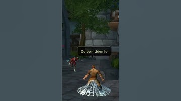 Spiderdoakes catches Stormwind breadman in killer web #turtlewow