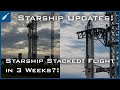 SpaceX Starship Updates! Starship Fully Stacked With Possible Flight 3 in 3 Weeks! TheSpaceXShow