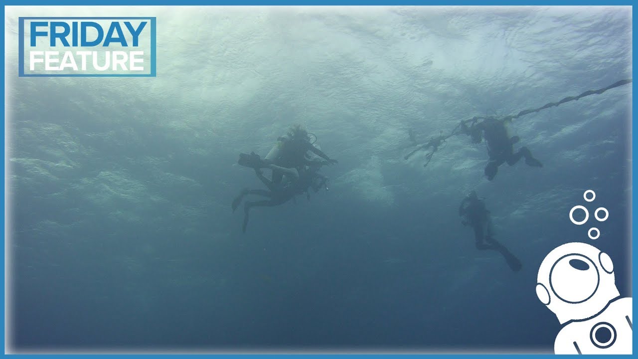 Common Questions Asked By Non-Divers