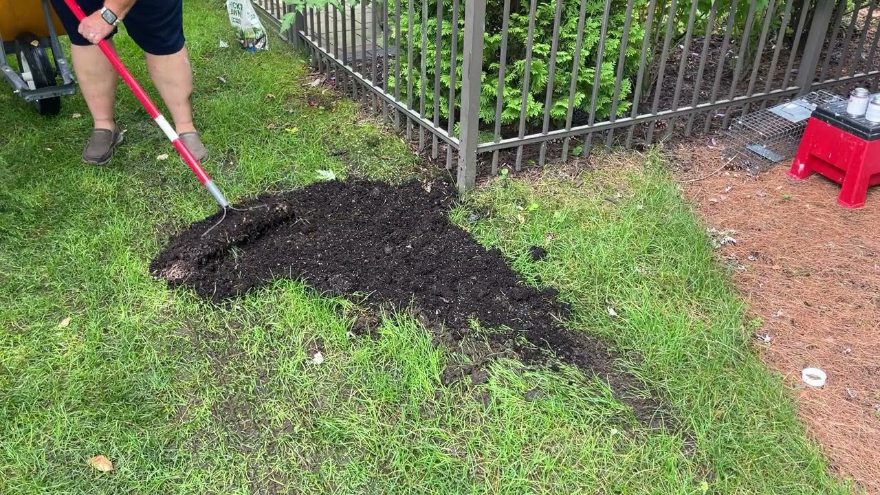 🌱 Fixing a Muddy Rut and Planting Grass Seed with Papa Mows Stuff 🏡