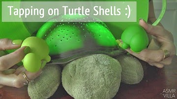 ASMR * Theme: Turtles! * Tapping & Scratching  * Fast Tapping * No Talking * ASMRVilla