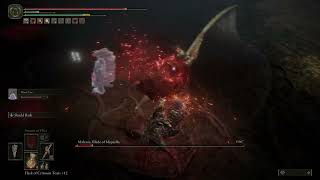 ELDEN RING  Malenia dies at first phase