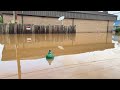 UPDATE: Many roads in Buckhannon still impassable