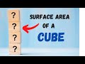 Surface Area and Properties of Cubes