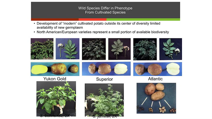 Plants: Cool Biology and Useful Functions