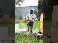 3-Step Method to Pull Honey Supers!
