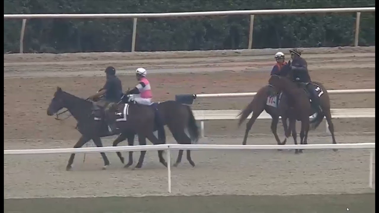 R1 GULFSTREAM PARK USA 15 JAN 2026