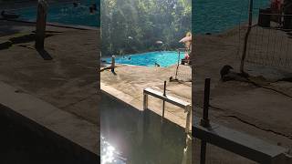 Kolam renang air sumber tanpa kaporit,htm 3rb #kolamrenang #airsumber #swimspa #naturalswimmingpool