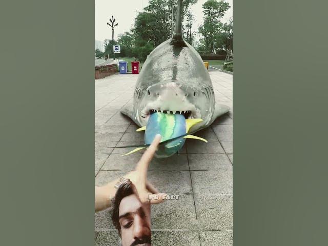 #funny #animals #cartoon #new #facts #vfxmahjabeen #funnycartoon #comedy #motupatlunewep,😱😱😱