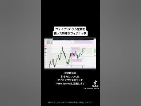 【FXチャート分析】ファイゲンバウム定数を使った特殊なフィボナッチ YouTube