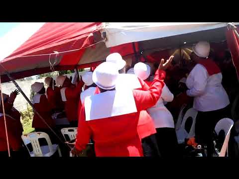 Newcastle 830 Manyano-Section