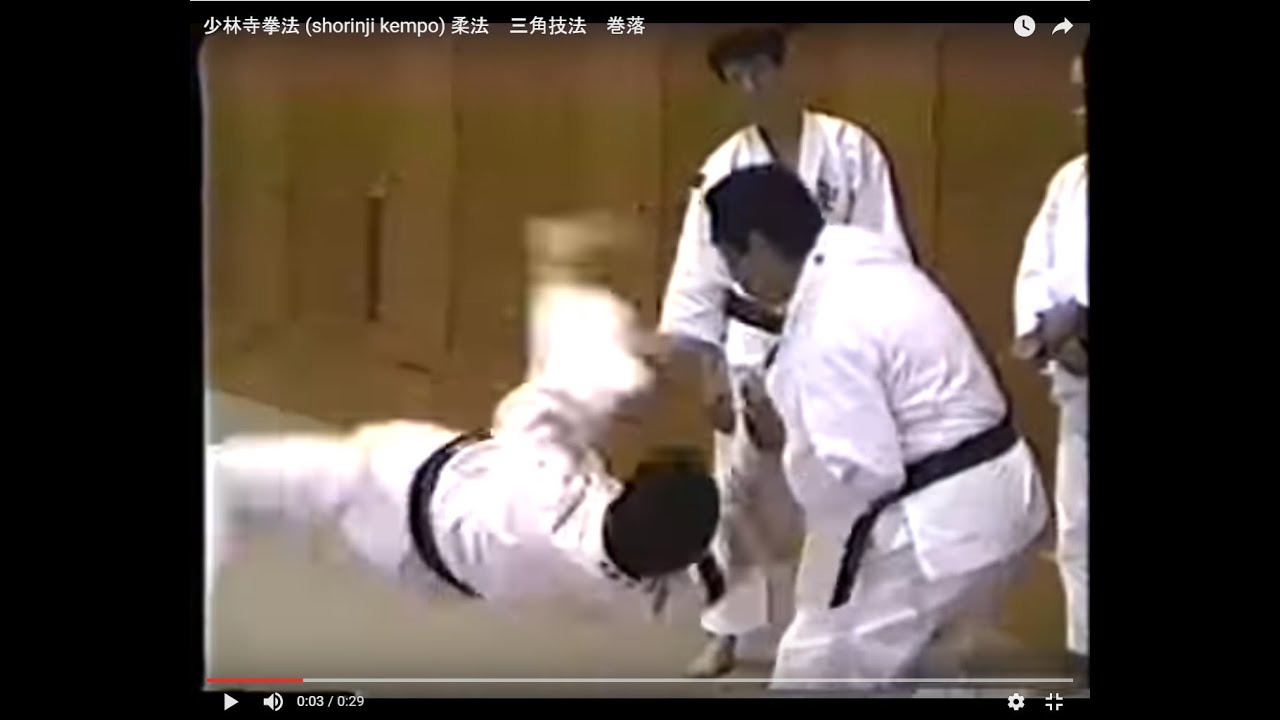 秘技4 巻落とし あるいは 巻落 猫とサバ缶 秘技4 巻落とし あるいは 巻落 猫とサバ缶