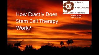 How Does Stem Cell Therapy Work Actually?  (844) GET-STEM