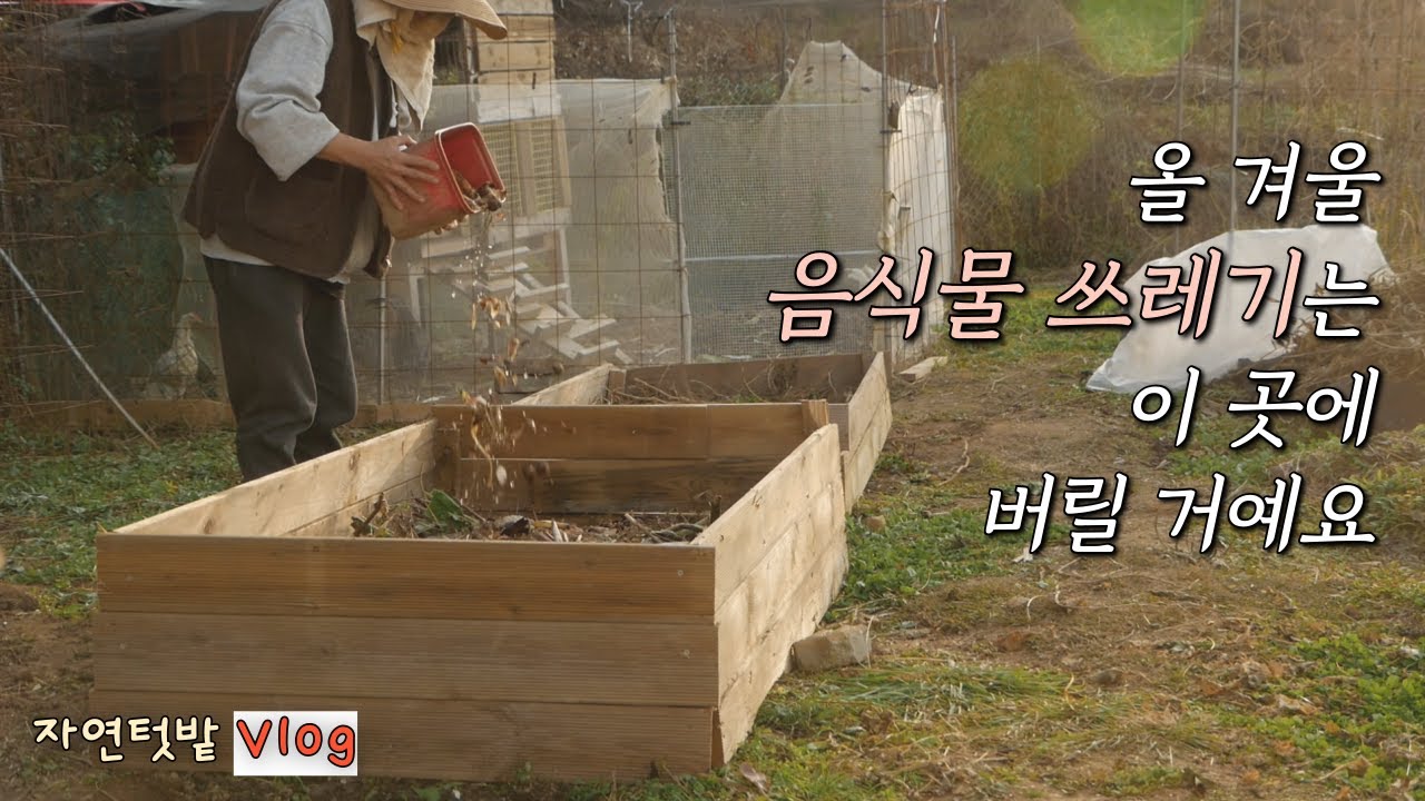 [Ноябрь -2] Этой зимой я буду собирать пищевые отходы здесь / Создание сада из пищевых отходов