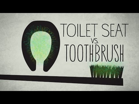 Video till Vad i ditt hem har mer bakterier än din toasits?