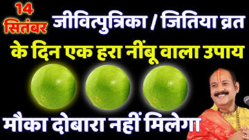 14 सितंबर जीवित्पुत्रिका /जितिया व्रत के दिन एक हरा नींबू वाला उपाय जरूर करें || Pradeep Ji Mishra