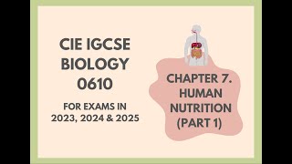 7. Human Nutrition (Part 1) (Cambridge IGCSE Biology 0610 for exams in 2023, 2024 and 2025) screenshot 5