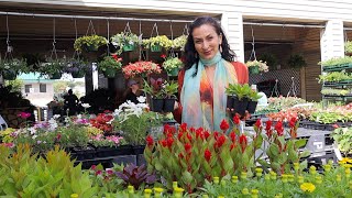 : Shopping for Flowers | New Planter from At Home | Heghineh Vlogs