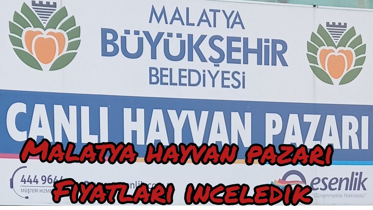 MALATYA HAYVAN PAZARİNDAYDİK. ÜRETİCİ ÇOK ZOR DURUMDA...