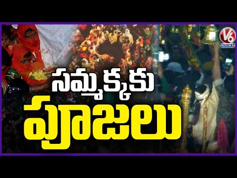 Medaram Pujarulu Offer Prayers To Sammakka At Medaram Gaddelu | V6 News - V6NEWSTELUGU