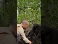 Chimpanzee asking for human help to drink water #shorts #shortsfeed #subscribe