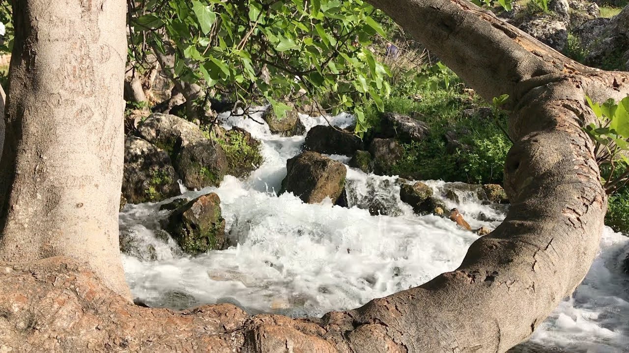 El Nacimiento de Riofrío. Loja (Granada).