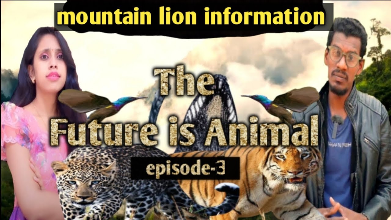 The future is animal episode 3 | maintain lion information in Telugu ...