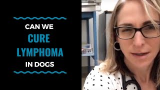 Can We Cure Lymphoma in Dogs? VLOG 74