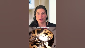 Key to Fertility | Pregnancy Success After 40 #shorts #EggQuality