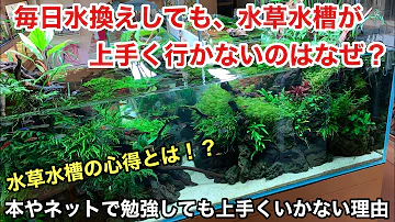 初めての水草水槽立ち上げ 水草レイアウト水槽の趣味を始める時 一番最初にやるべき事 ネイチャーアクアリウム初心者立ち上げ初心者 水槽設備 器具 フィルター ライト Co2 水草の育て方 植え方 Mp3
