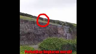 Download Lagu harimau turun gunung dempo lahat pagaralam sumatera selatan MP3 Download Lagu harimau turun gunung dempo lahat pagaralam sumatera selatan MP3